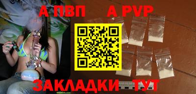 стаф Шебекино
