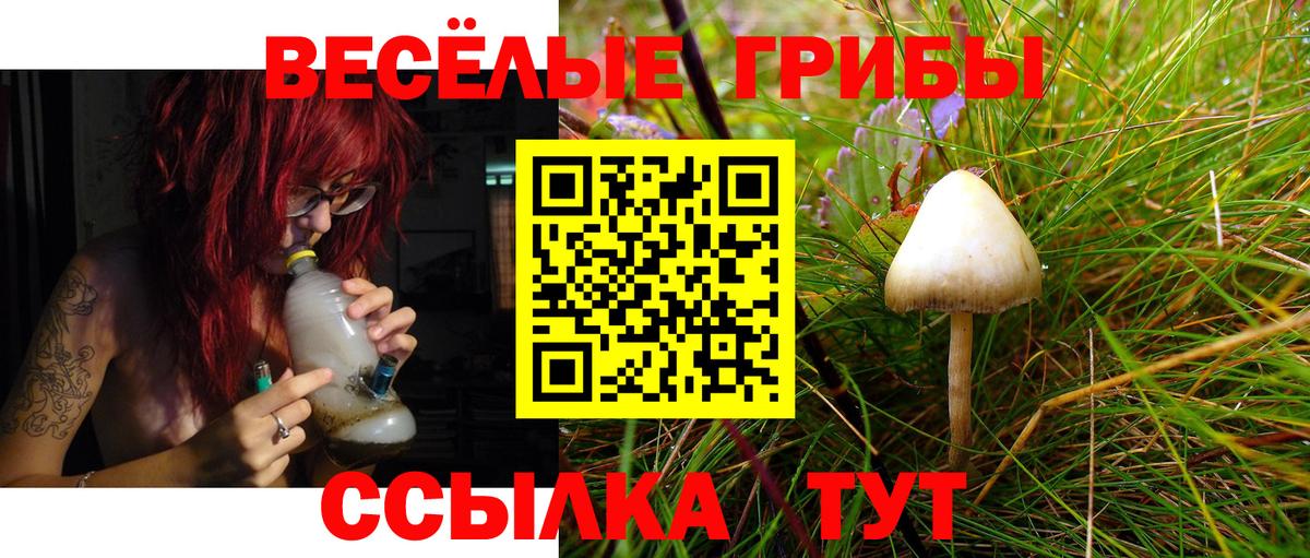 Псилоцибиновые грибы Psilocybe  Вход с VPN  где можно купить наркотик  Белгород 